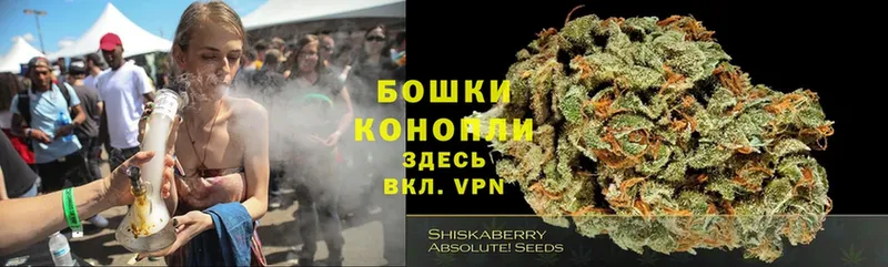 Бошки марихуана Bruce Banner  где купить наркотик  Каменка 